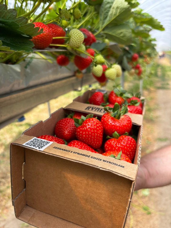 Scan the code and find out where the fruit grew! While shopping, we came across a great idea that shortens the distance from the field to the table.