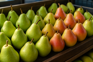 Drought Reduces Pear Size and Raises Uncertainty in Benelux and France