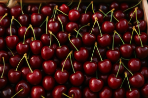 European cherry prices fall amid strong harvests and supplier competition