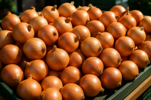 Heatwave hits French onion supply as Spanish prices remain stable