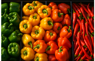 High pepper prices persist in Spain and Italy due to weather losses