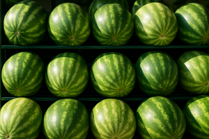 Italian watermelon wholesale prices collapse to €0.30/kg amid high supply and weak demand
