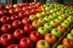 Kazakhstan to ban apple imports; EU prices drop sharply