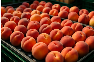 Spanish peach prices at record lows in July 2026