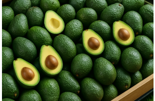 USDA halts Michoacán avocado exports, global supply faces short-term uncertainty
