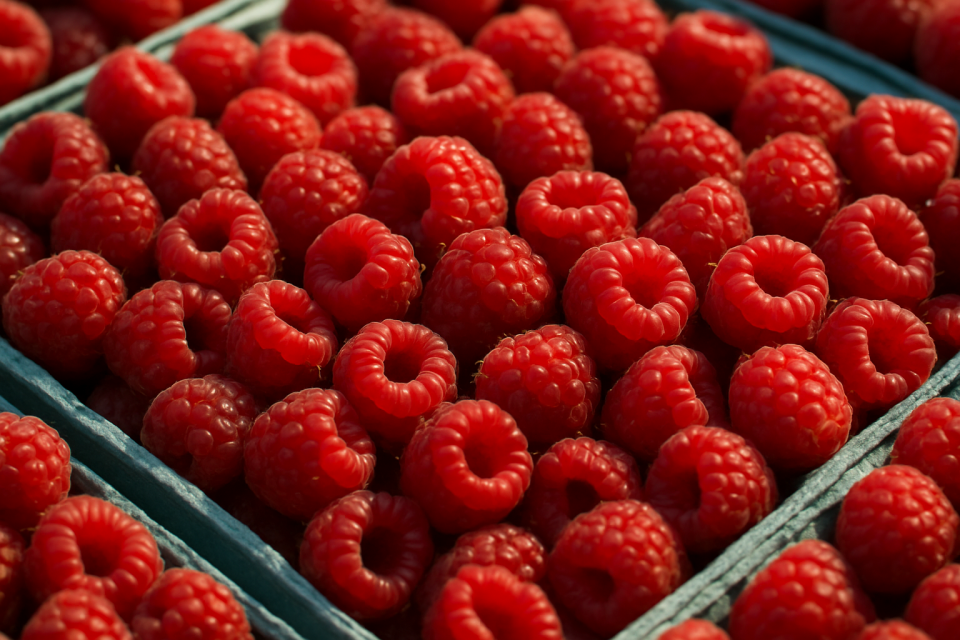 Weak raspberry supply from Ukraine and Turkey impacts European trade