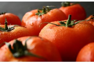 Above-Average Tomato Prices