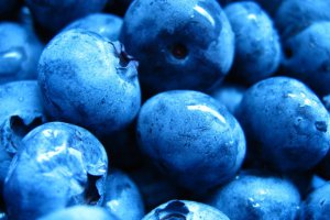 Blueberry Freezing Prices Rising – But Not Everywhere
