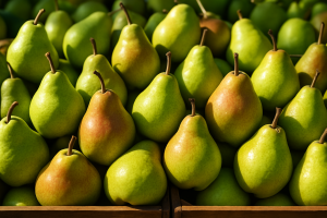 Bronisze: Early Conference Pear Prices Under €1.2/kg, Local Harvest Impacted by Hail