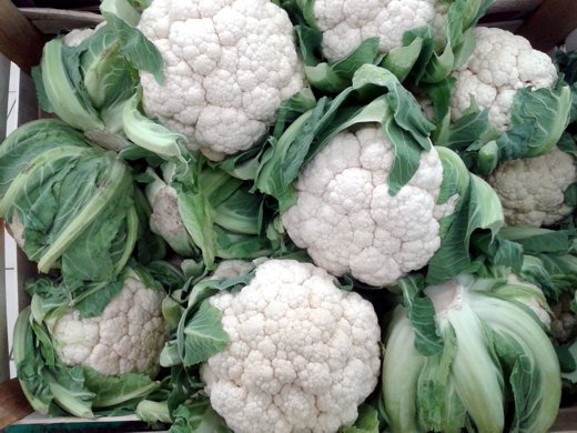 Cauliflower Prices Recover from Their Slump