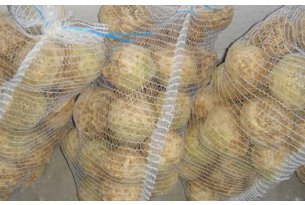 Celeriac prices cannot climb out of the trough