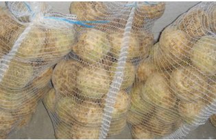 Celeriac prices cannot climb out of the trough