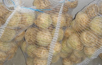 Celeriac prices cannot climb out of the trough