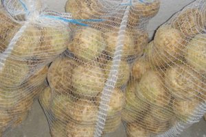 Celeriac prices cannot climb out of the trough