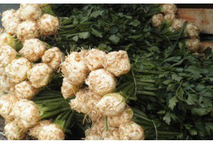Celery – Old Season Ends with Terrible Prices