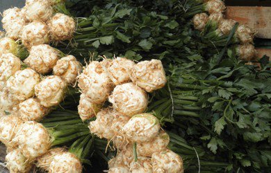 Celery – Old Season Ends with Terrible Prices