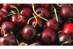 Cherries Still Available on the Small Wholesale Market