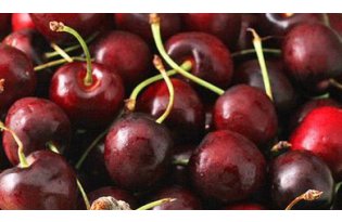Cherries Still Available on the Small Wholesale Market