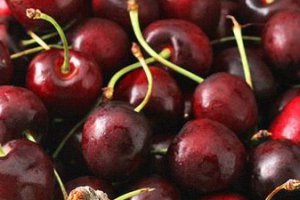 Cherries Still Available on the Small Wholesale Market