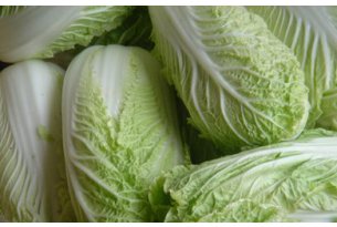 Chinese cabbage prices remain close to the multi-year average