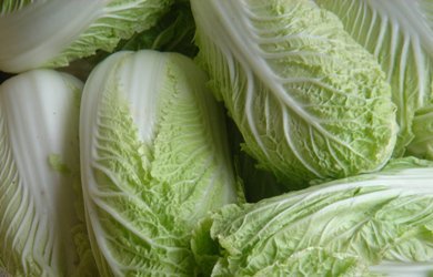 Chinese cabbage prices remain close to the multi-year average