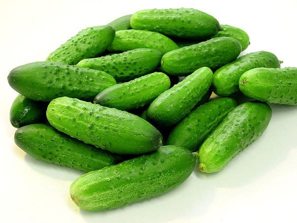 Cucumber Prices Plummet Again