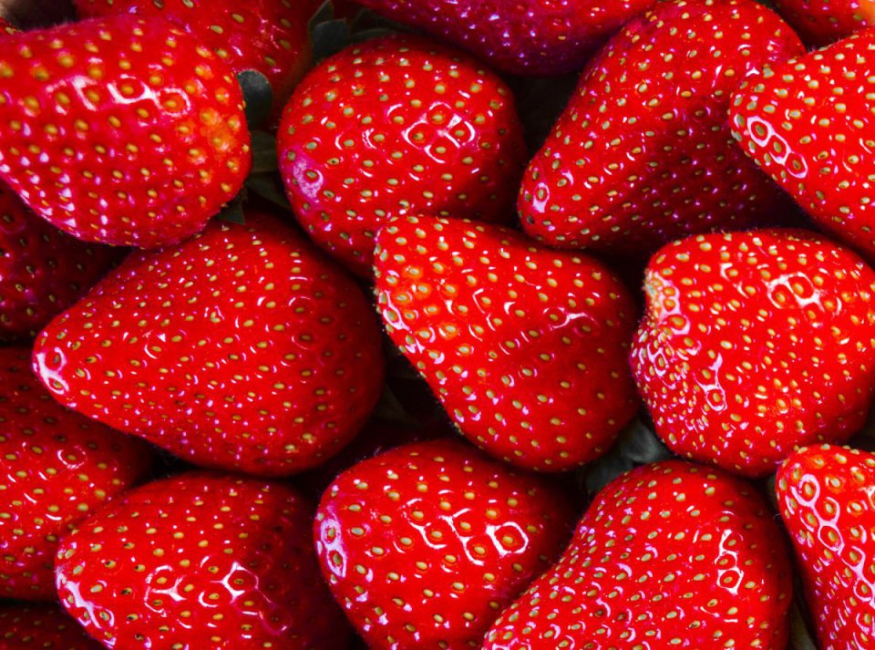 End of Industrial Strawberry Purchasing?