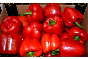 Fresh Peppers – Prices Under Pressure, But…