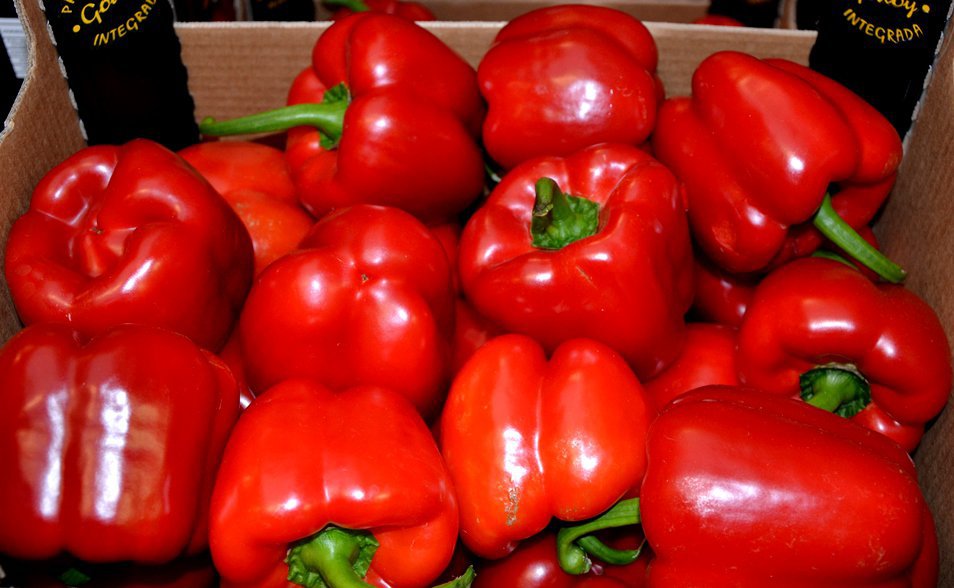 Fresh Peppers – Prices Under Pressure, But…