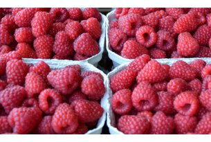 Fresh Raspberry Prices Rising