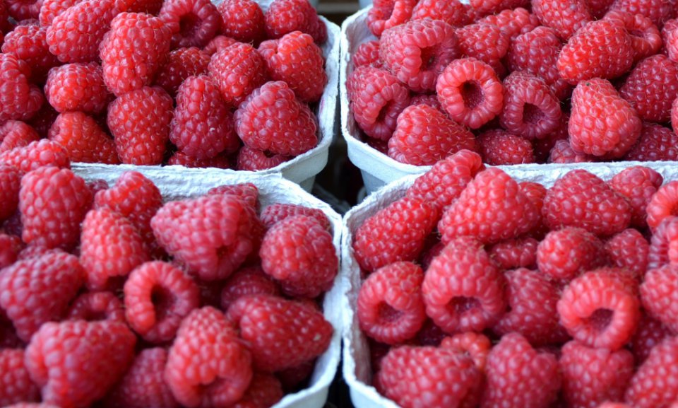 Fresh Raspberry Prices Rising