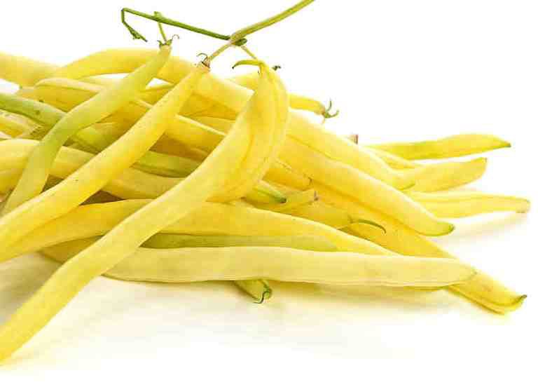 Green Bean Prices Not Falling