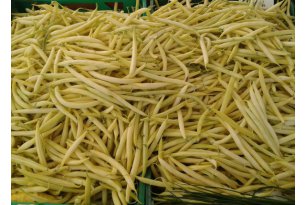 Green Bean Prices Plunge