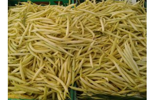 Green Bean Prices Plunge