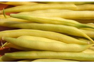 Green beans – this is not yet the time for price increases