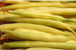 Green beans – this is not yet the time for price increases