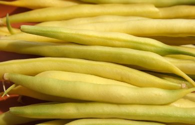 Green beans – this is not yet the time for price increases