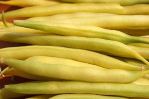 Green beans – this is not yet the time for price increases