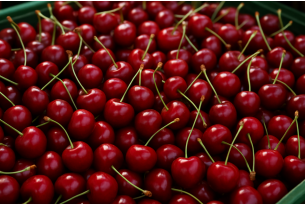 Heavy Import Pressure Drives Down Polish Cherry Prices in June