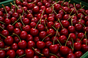 Heavy Import Pressure Drives Down Polish Cherry Prices in June