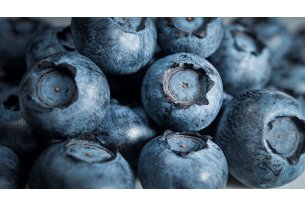 Higher Prices for Blueberries for Processing