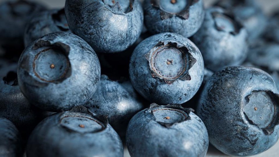 Higher Prices for Blueberries for Processing