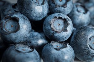 Higher Prices for Blueberries for Processing