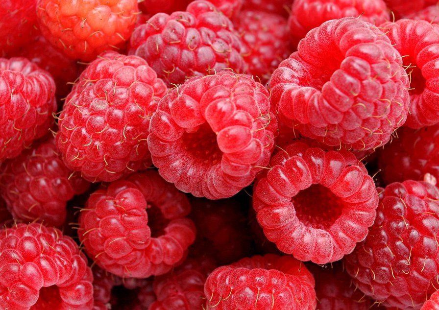 Industrial Raspberry Prices Remain Stable
