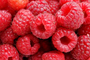 Industrial Raspberry Prices Remain Stable