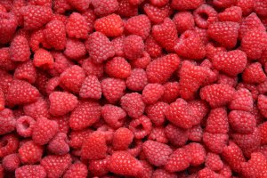 Industrial Raspberry Procurement Still in Its Infancy