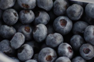 Is This the Peak of Blueberry Supply? What About Prices?