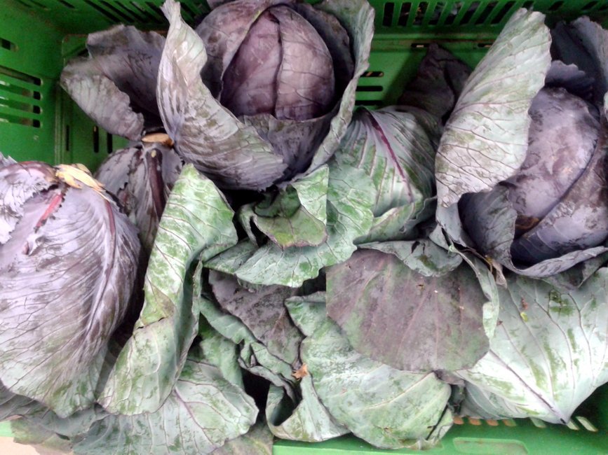 Late July and Early August Bring a Drop in Red Cabbage Prices