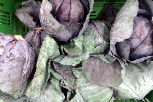 Late July and Early August Bring a Drop in Red Cabbage Prices