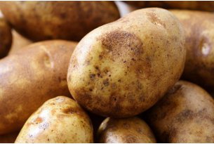 Minimal Improvement in Potato Prices, But the Situation Remains Dire